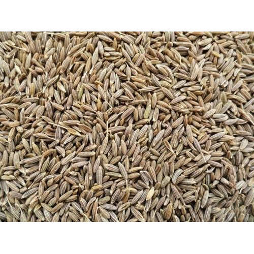 Brown Cumin Seed For Cooking, Aromatic With A Penetrating Flavour