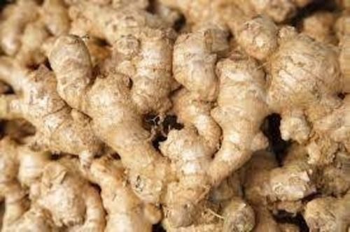 1kg Brown Color Soft Fresh Ginger Used For Cooking