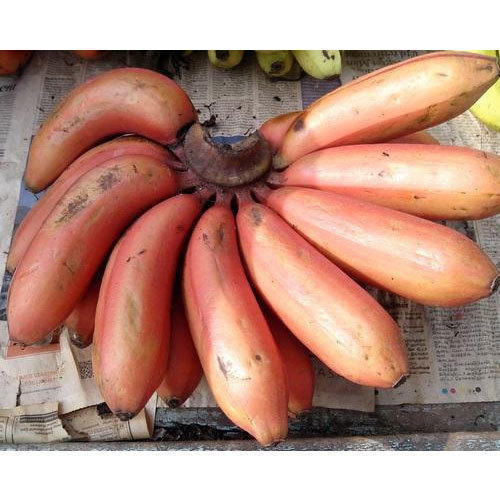 Common A Grade 100% Pure Natural And Organic Small Size Fresh Red Banana