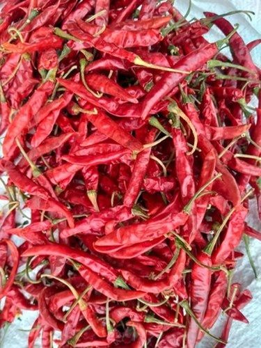 A Grade Spicy Taste Red Colour Organic And Dried Red Chilli For Cooking