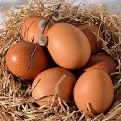 Proteins, Vitamin, Linoleic Acid And Potassium Rich Natural Fresh Brown Organic Eggs