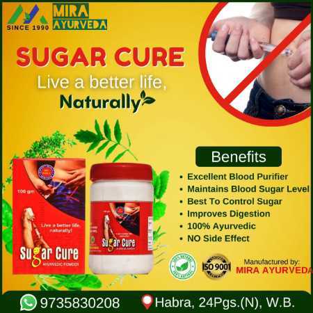 100% Ayurvedic Sugar Cure Ayurvedic Powder With No Side Effect Age Group: For Adults