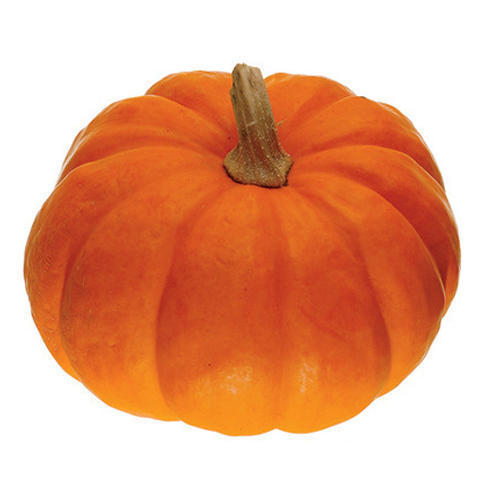 Round A Grade Fresh Enriched With Nutrients Natural Pure And Healthy Pumpkin