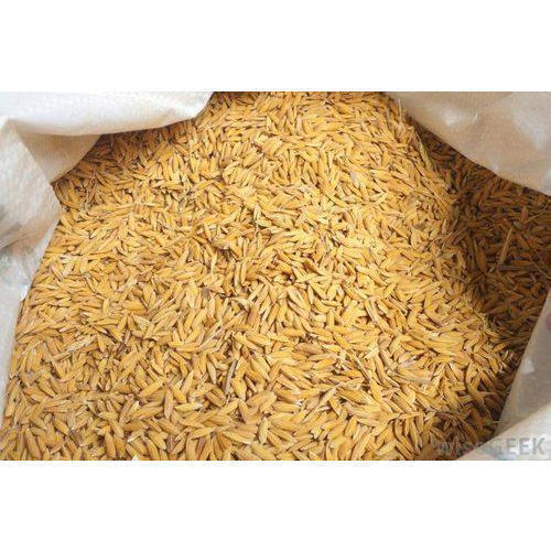 Good Source Of Dietary Fiber And Vitamins Aromatic Brown Natural Paddy Rice
