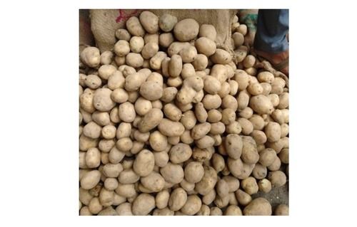 1 Kilogram Organic And Farm Fresh A Grade Brown Raw Potato