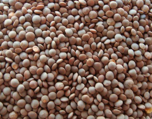 Brown Masoor Dal, High In Protein Red Lentil For Cooking