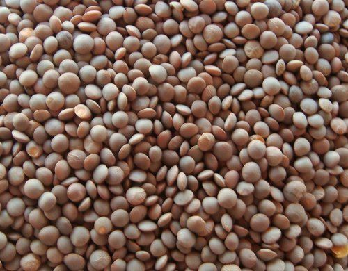 Brown Masoor Dal, High In Protein Red Lentil For Cooking Broken (%): 3%