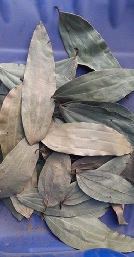 Green Fresh And Organic Dried Bay Leaf Delicate Fragrant Aromatic Leaf For Cooking