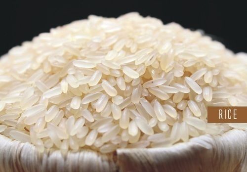  शॉर्ट ग्रेन बासमती चावल बनावट में मुलायम, प्रोटीन में उच्च और सफेद रंग में 
