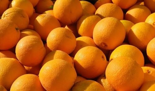 Organic 100% Natural Fresh And Juicy Orange Fruit Rich In Vitamin C