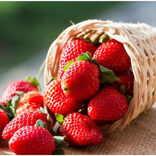  प्राकृतिक स्ट्रॉबेरी से ताज़ा तैयार स्वस्थ तरल फ़्लेवर 
