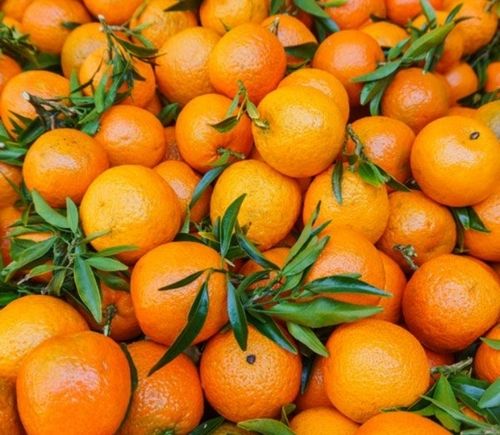 Good For Health Pesticide Free Rich In Vitamin C Sweet Tart Taste Fresh Organic Orange