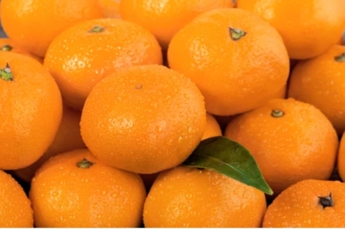 Orange Fruit - Organic, Glutinous, Sweet Taste | Long Shelf Life, Various Health Benefits, Delivered Within Committed Time