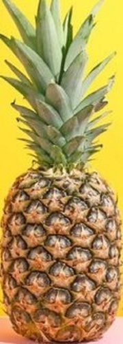 100% Natural And Farm Fresh A Grade Pineapple With Amazing Taste