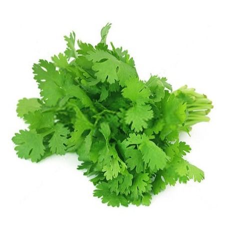 coriander leaves