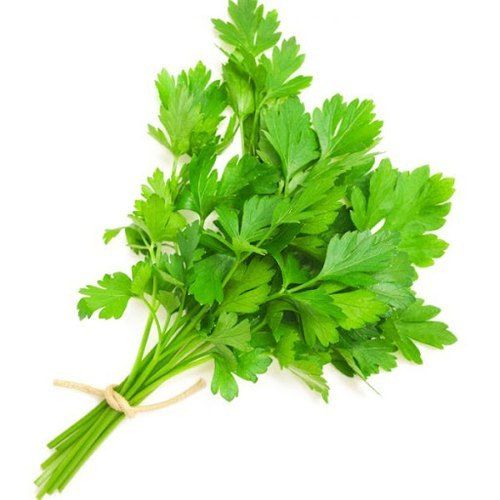 A Grade Healthy 100 Percent Pure Natural Fresh Green Coriander Leaves