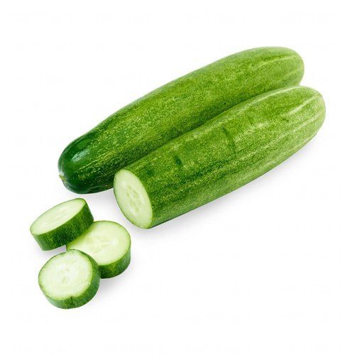 A Grade Nutrient Enriched Healthy Natural Pure And Fresh Cucumber For Salad