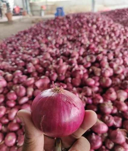 Easy To Digest Good For Health Pesticide Free Fresh Red Onion For Cooking