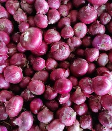 No Artificial Flavour No Preservatives Organic Farm Fresh Red Onion For Human Consumption