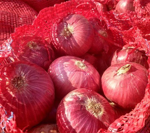 Pesticide Free Medium Sized 100% Organic Fresh Red Onions For Cooking And Salads