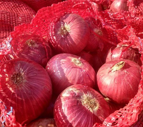 Pesticide Free Medium Sized 100% Organic Fresh Red Onions For Cooking And Salads Moisture (%): 63-83%