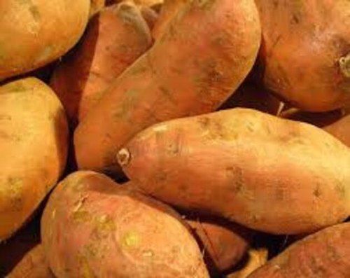 Wholesale Price 100% Organic A Grade Dried Sweet Potatoes