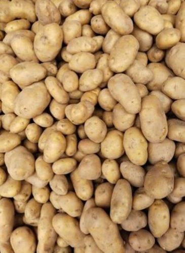 Wholesale Price Brown Color Natural And Organic A Grade Fresh Potato Moisture (%): 63-83%