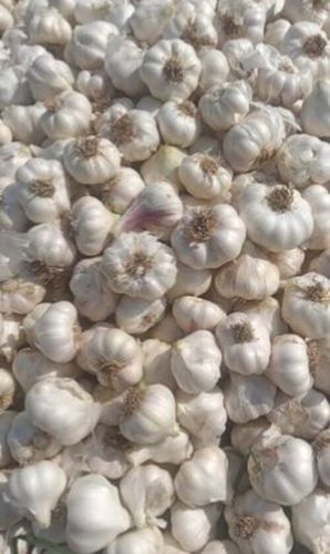 Wholesale Price Fresh And Organic White A Grade Dried Whole Garlic