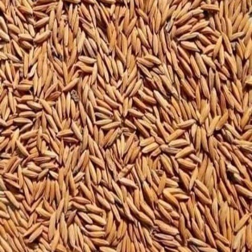 100% Natural And Fresh Long-Grain Brown Organic Indian Paddy Rice