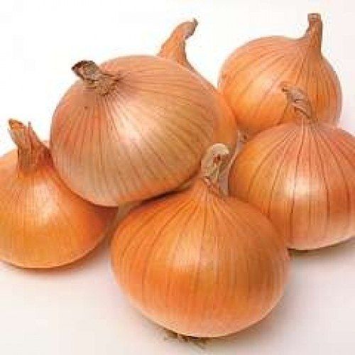 A Grade 100% Nutrients Rich Pure Organic Medium Size Brown Onion Preserving Compound: Cool And Dry Place