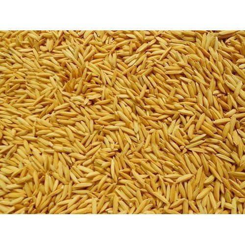 Brown A Grade 100% Pure Natural Nutrients Rich Organic Paddy Rice