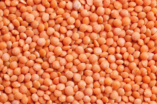 100 Percent Pure And Organic Red Lentils (Masoor) With High Source Of Vitamin B
