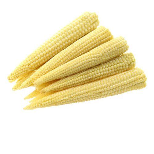 Preserved Style A Grade Yellow Baby Corn, Good For Health
