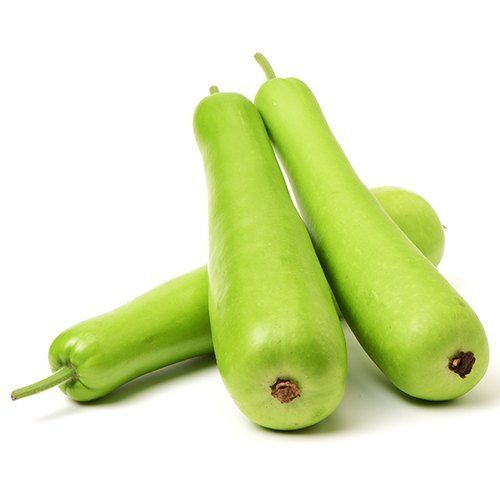 Round A Grade 100% Pure And Natural Fresh Green Bottle Gourd For Cooking