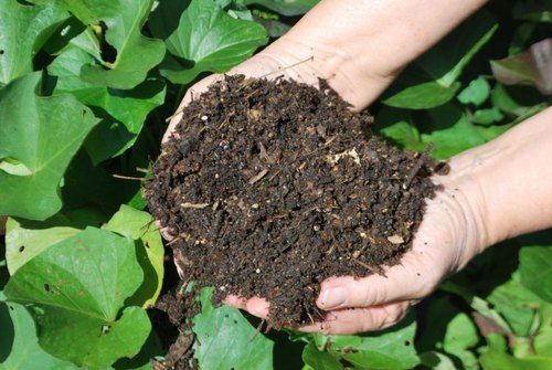 Slow Organic Compost Fertilizer For Garden, Agriculture, Improving Soil Fertility
