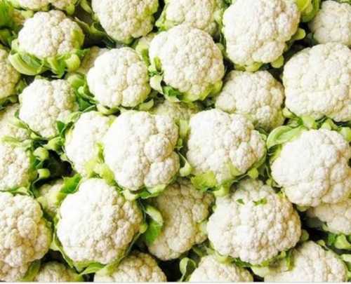 100% Mature Fresh Cauliflower Vegetables, Availability Round The Year