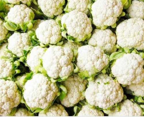 Normal 100% Mature Fresh Cauliflower Vegetables, Availability Round The Year