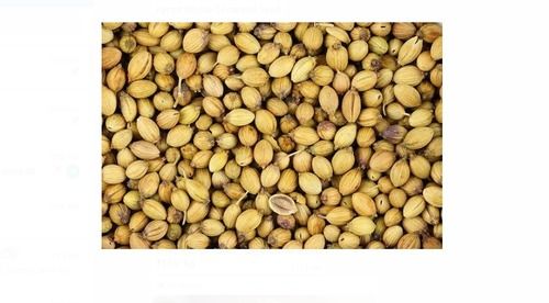 40 Kg Rivermark Dried And Cleaned Coriander Seeds Dhaniya For Cooking