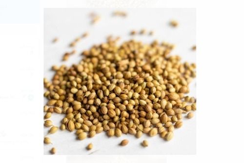 Dried And Cleaned 40 Kg Dried Yellow Color Swathi Coriander Seeds