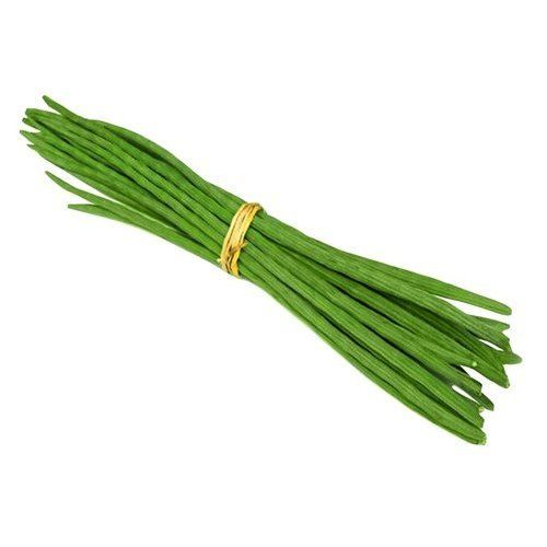 Fresh And 100% Pure Organic Green And Long Moringa Drumsticks