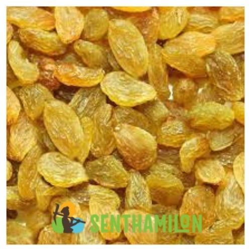 Natural Golden Raisins - Round