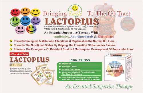 लैक्टोप्लस लैक्टोबैसिलस, विटामिन B1, 2 और 6 और निकोटिनामाइड कैप्सूल सामान्य दवाएं