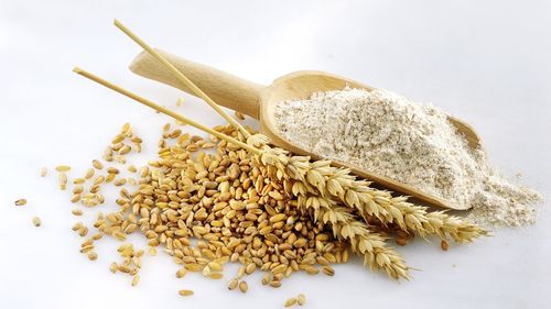 Natural Pure Chakki Fresh Wheat Flour For Human Food Consumption