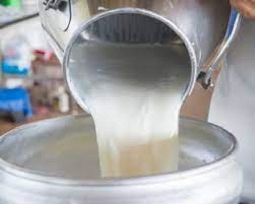 विटामिन B12 और आयोडीन सहित पोषक तत्व 100% प्राकृतिक जैविक शुद्ध गाय का दूध