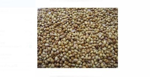 Round Brownish Dried And Cleaned Coriander Eagle Seeds