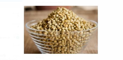 Wholesale Price 100% Pure And Organic Dried And Cleaned Coriander Seed