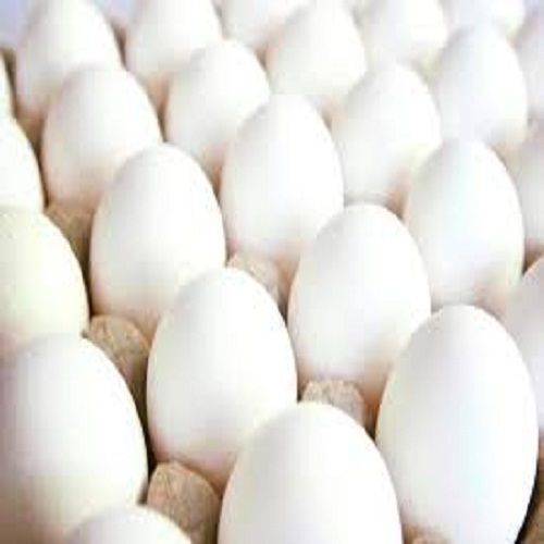  Healthy Calcium And Nutrients Rich Farm Fresh White Colour Egg For Bakery Use, Human Consumption