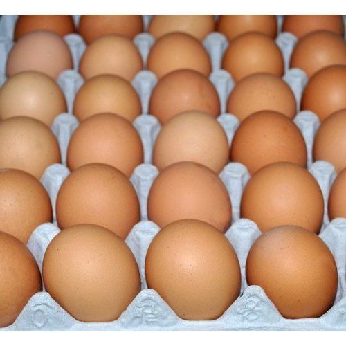 Vitamins, Calcium And Nutrients Rich Farm Fresh Brown Colour Egg For Human Consumption