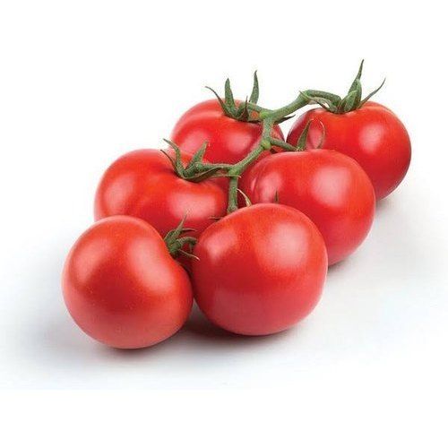 A-Grade Nutrition Enriched Healthy Round Fresh And Organic Red Tomatoes