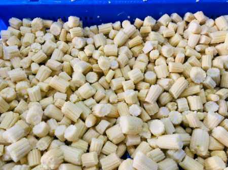 Best Quality Frozen Whole and Cut Baby Corn with No Added Preservatives